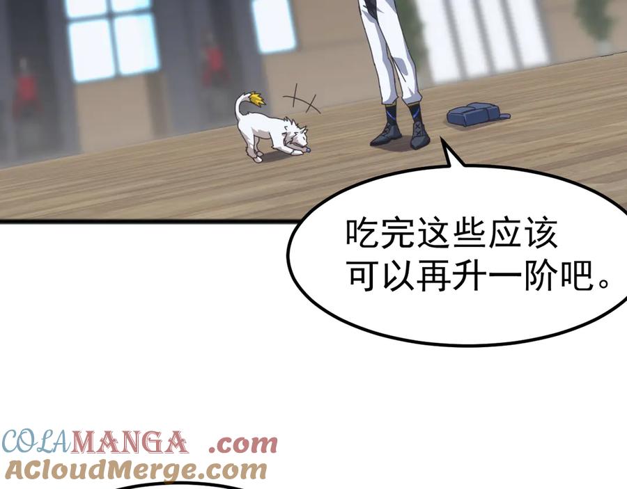 《万族入侵：开局驯化史诗级巨兽》第13话 省赛夺魁 第113页