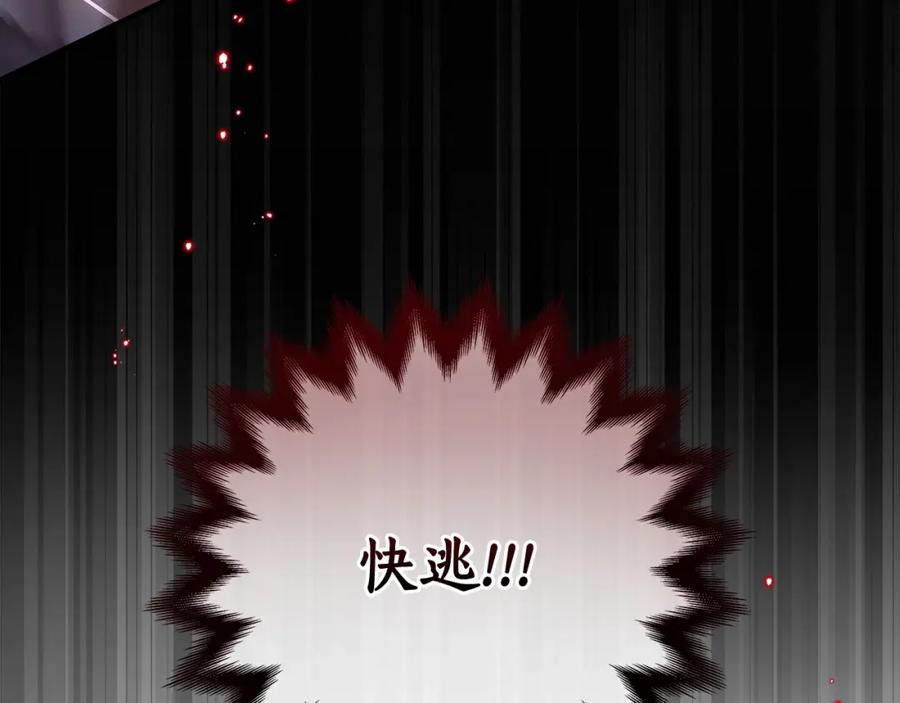 《全民神战：只有我能看到隐藏信息》第16话 万神级 第15页