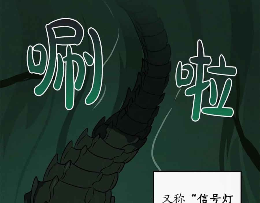 《全民神战：只有我能看到隐藏信息》第32话 开启直播 第186页
