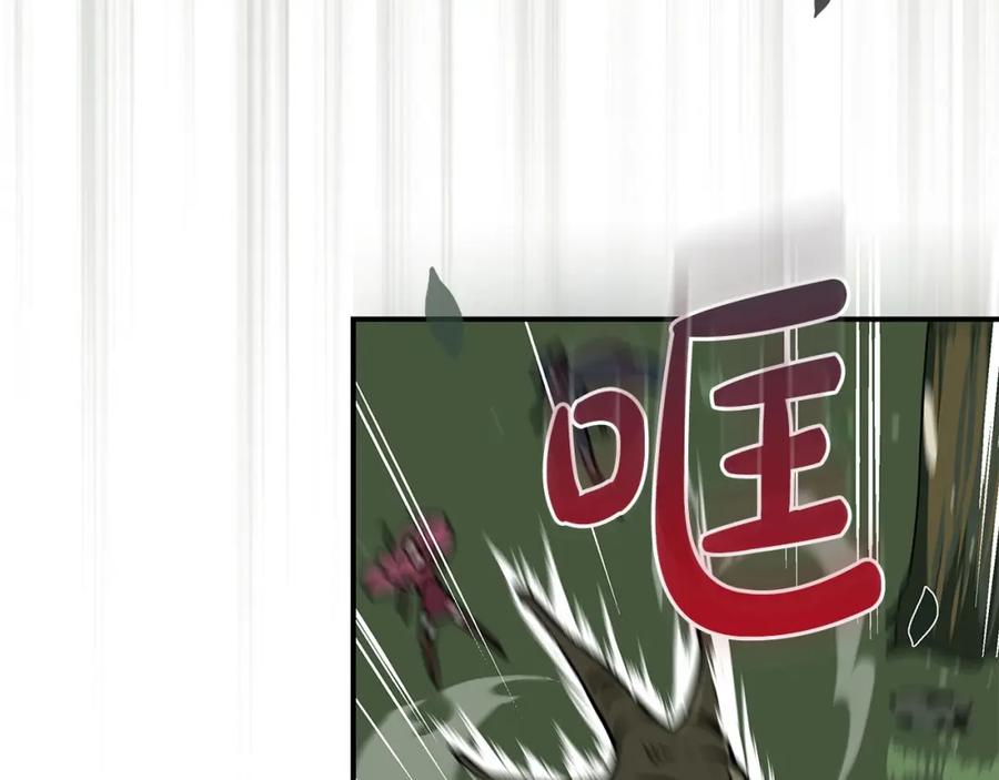 《全民神战：只有我能看到隐藏信息》第36话 精灵引路 第147页