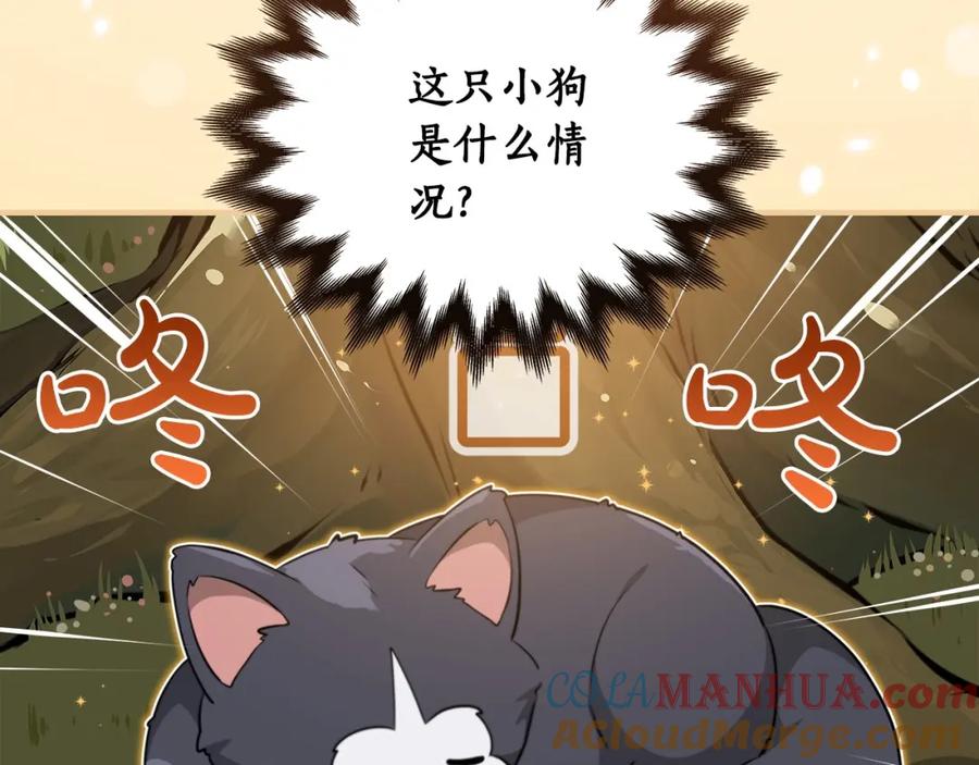 《全民神战：只有我能看到隐藏信息》第3话 新手教程大师 第181页