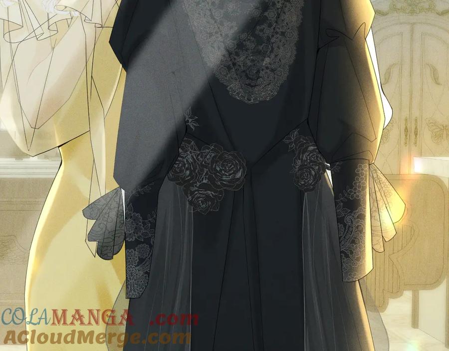 《公爵小姐和逃犯闪婚了》003 婚礼将至 第85页
