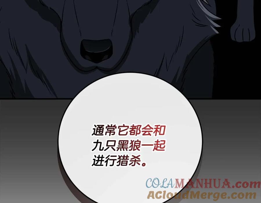 《全民神战：只有我能看到隐藏信息》第70话 暗夜森林 第12页