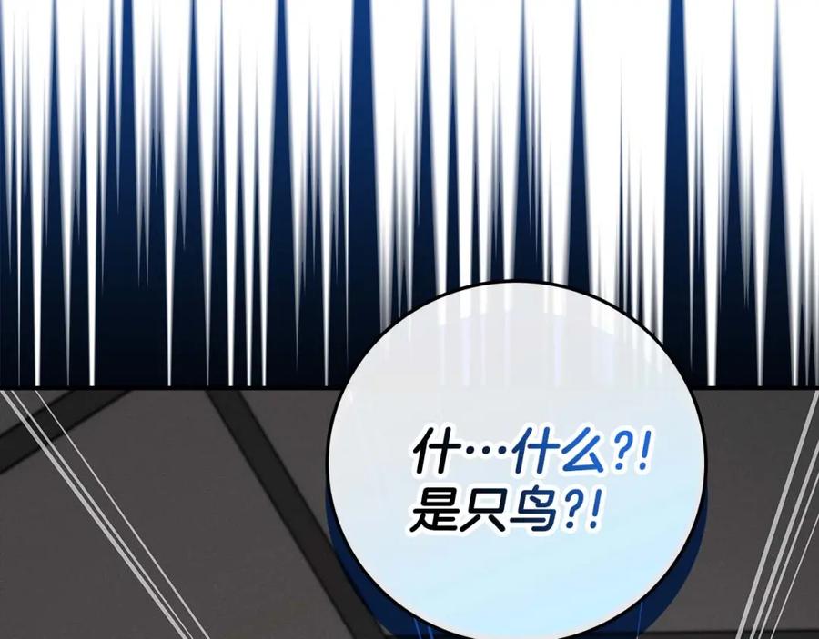 《全民神战：只有我能看到隐藏信息》第71话 新协助者 第258页