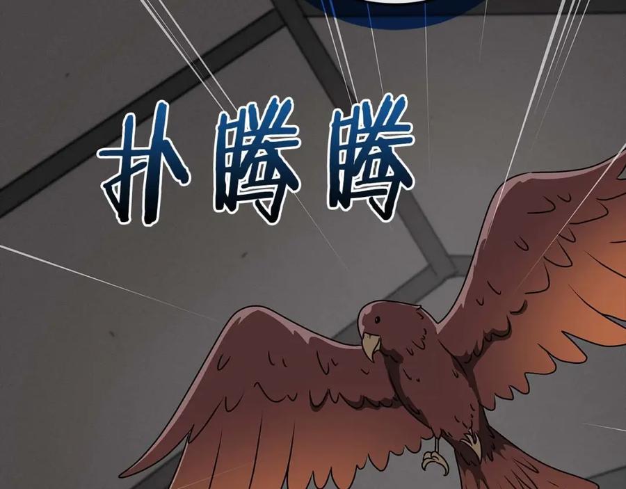 《全民神战：只有我能看到隐藏信息》第71话 新协助者 第259页