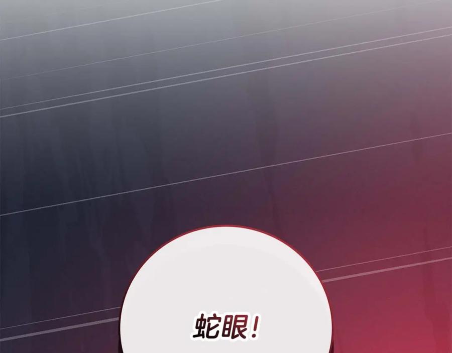 《全民神战：只有我能看到隐藏信息》第75话 物理魔法 第244页