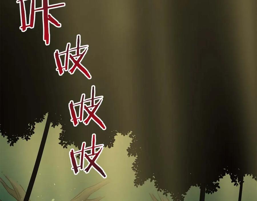 《全民神战：只有我能看到隐藏信息》第83话 帕图的短剑 第3页