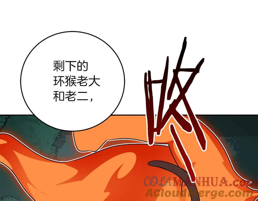 《全民神战：只有我能看到隐藏信息》第85话 新花式直播 第269页