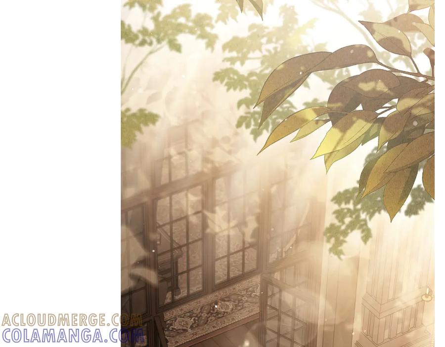如若遮住神的眼眸亲吻 后记 第40页