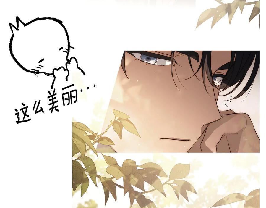 如若遮住神的眼眸亲吻 后记 第39页