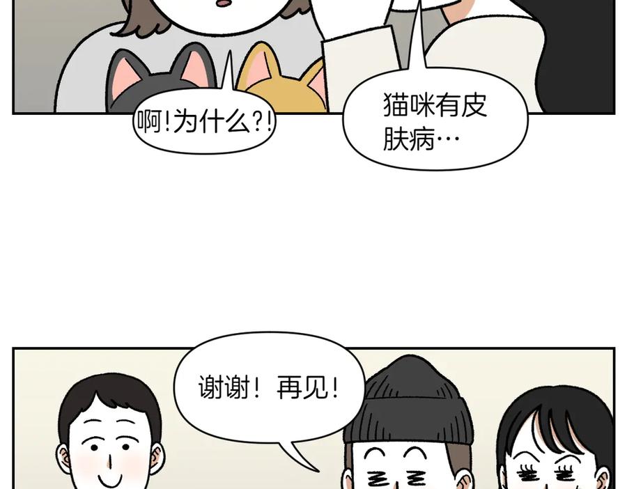 《我的狗子叫棉花》第52话 被传染猫癣 第14页