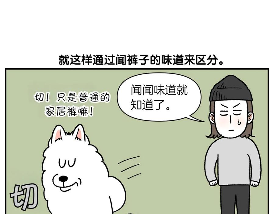 《我的狗子叫棉花》第60话 禁止单词-散步 第39页