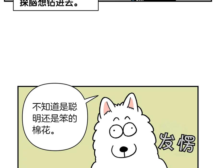 《我的狗子叫棉花》第62话 地下停车场 第47页