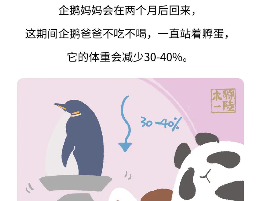 《胖达x胖达》第275话 第28页