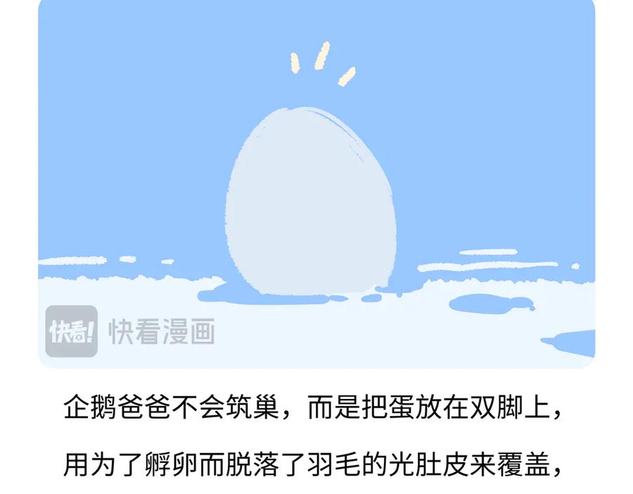 《胖达x胖达》第275话 第26页