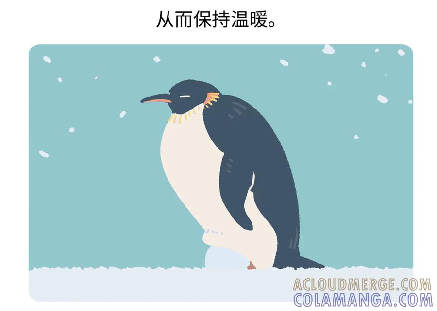 《胖达x胖达》第275话 第27页