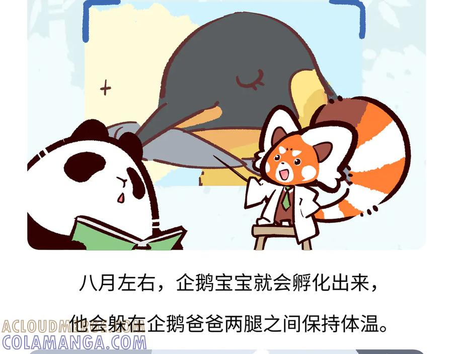《胖达x胖达》第276话 第19页