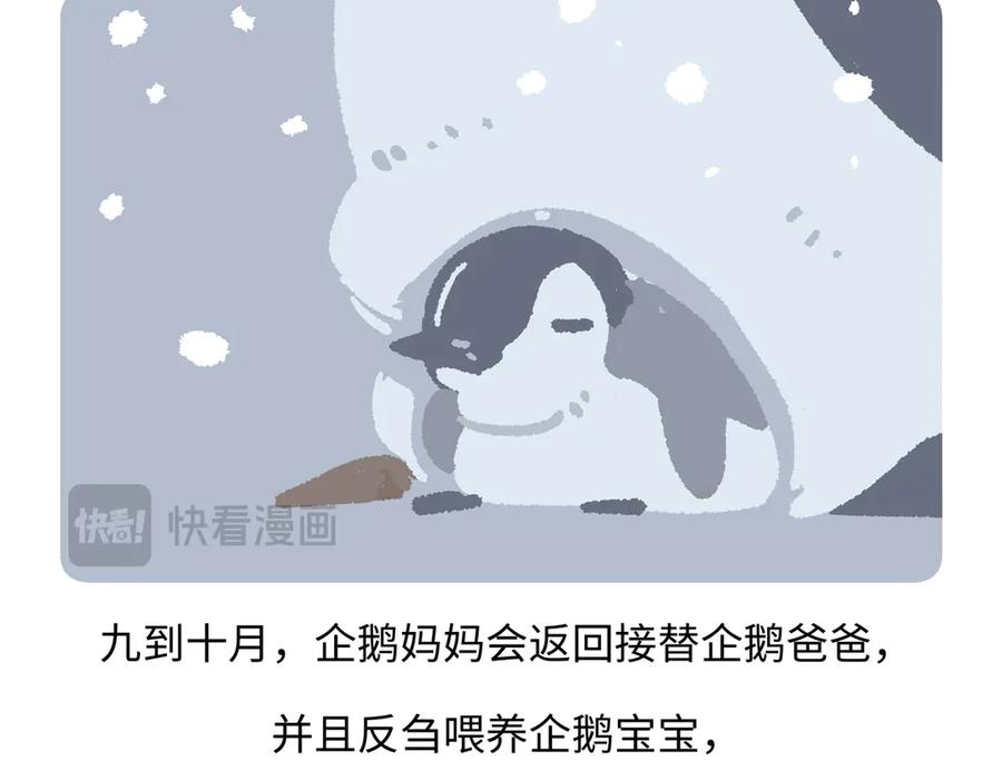 《胖达x胖达》第276话 第20页