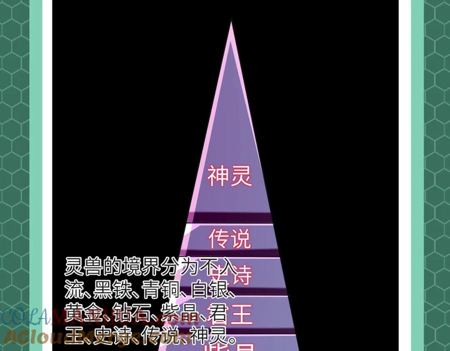 《全民御兽：开局觉醒神话级天赋》第3期 灵兽设定 第5页