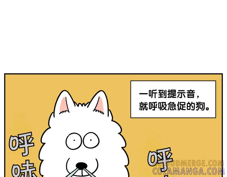 《我的狗子叫棉花》第62话 地下停车场 第40页
