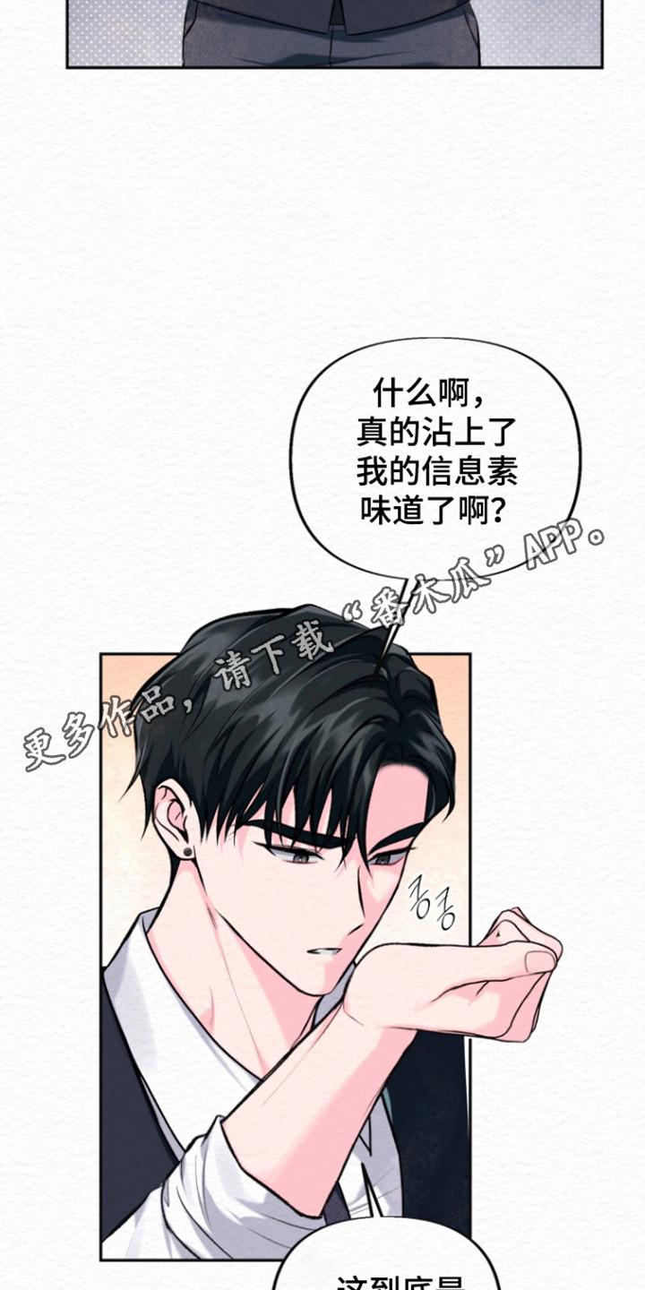 《给记忆添香》第33章：事业香水 第18页