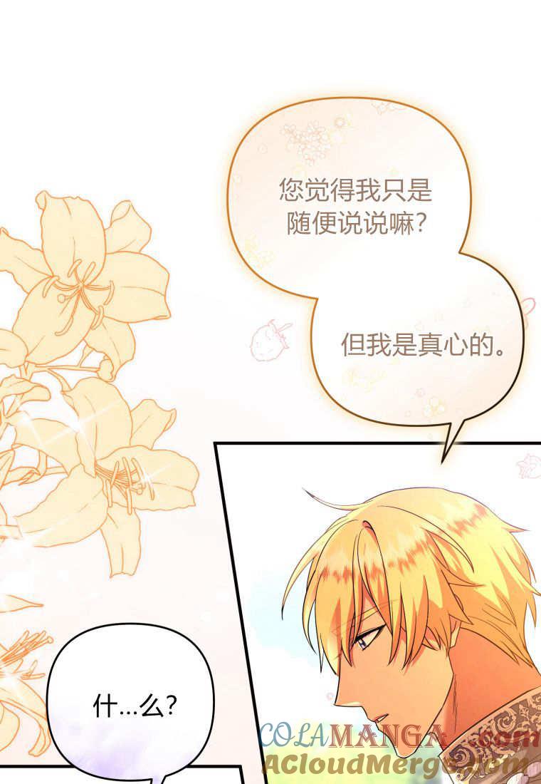 成为苏尔坦珍爱的猫咪 第46话 第46页