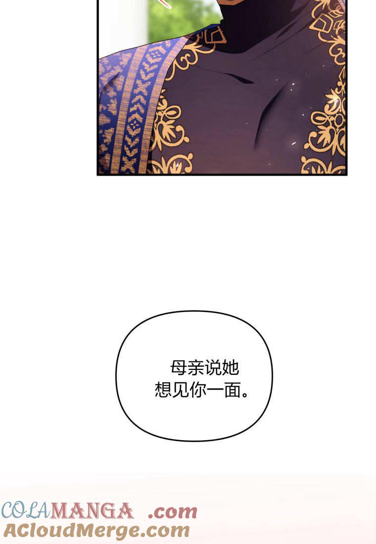 成为苏尔坦珍爱的猫咪 第46话 第91页