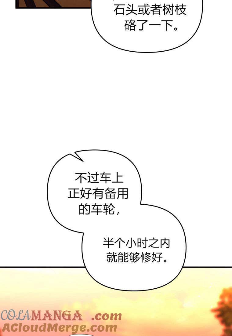 成为苏尔坦珍爱的猫咪 第47话 第34页