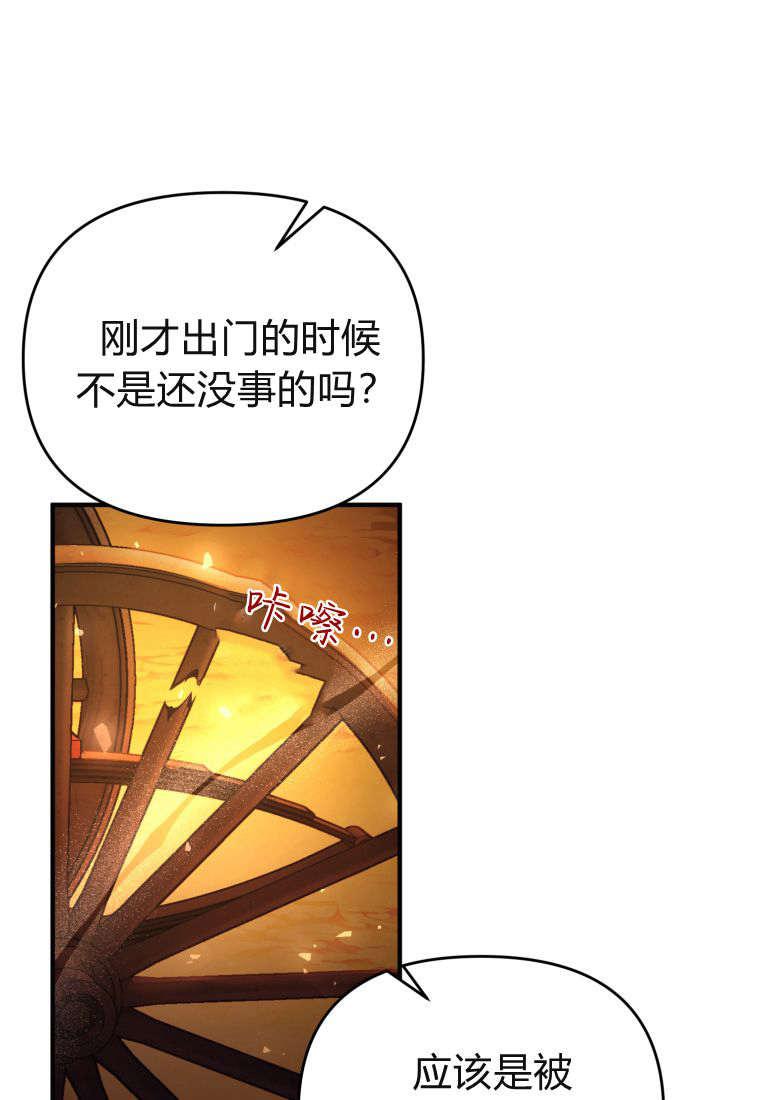成为苏尔坦珍爱的猫咪 第47话 第33页