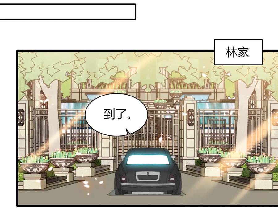 《全能千金燃翻天》147 收起你那些小心思 第66页