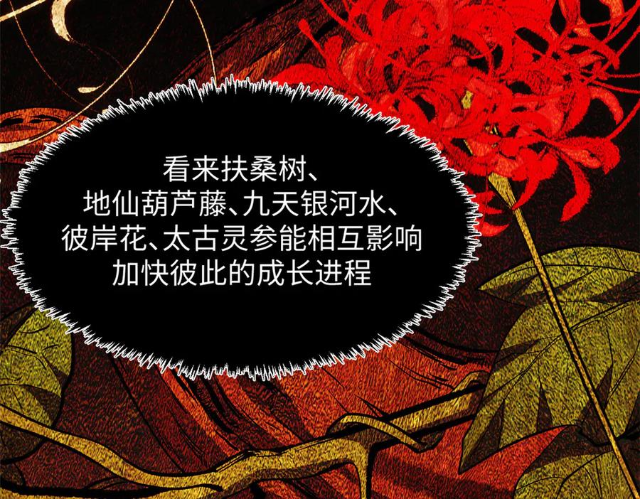 顶级气运，悄悄修炼千年 197 苏岐出山,杨散进入凡间 第56页