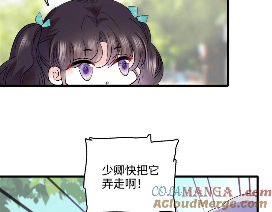 《全能千金燃翻天》74 这个人好好玩 第31页