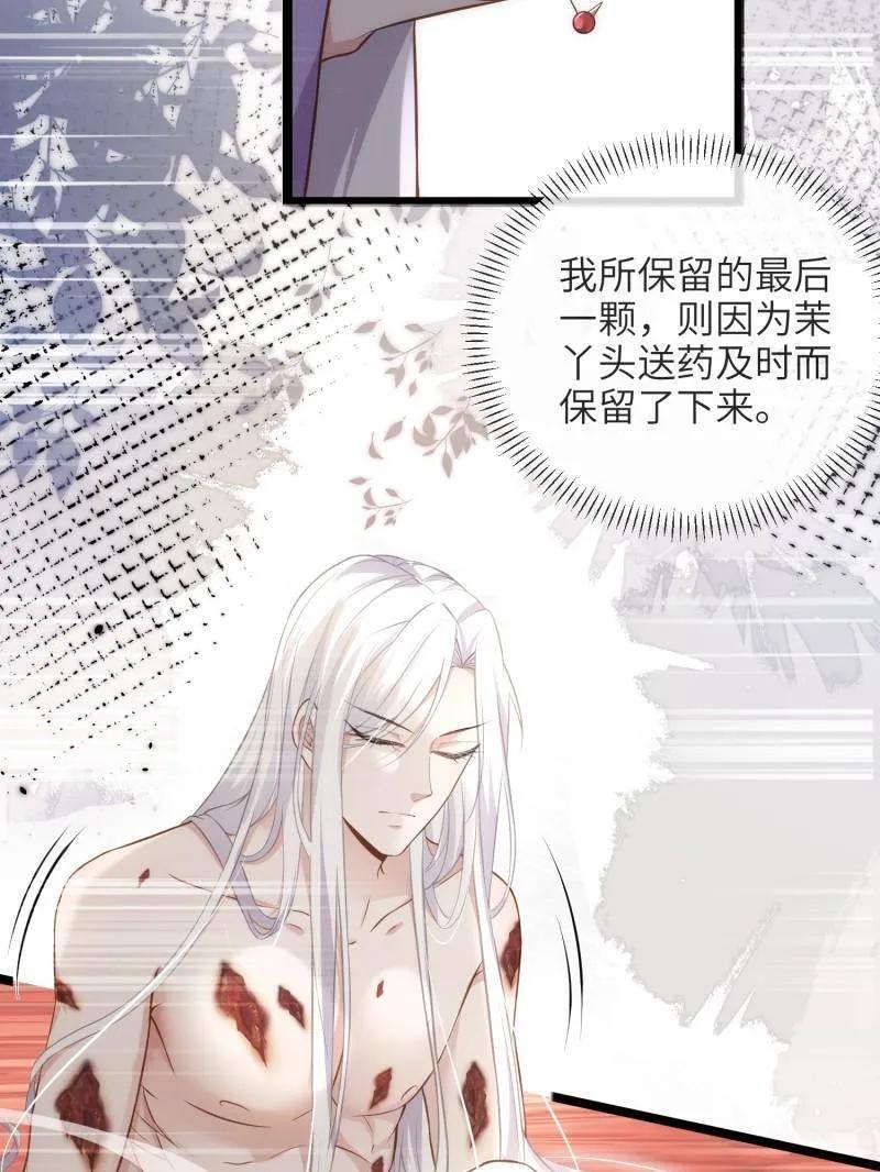 宦妃天下（太监王爷强娶我） 第428话 阿九回来了？！ 第33页