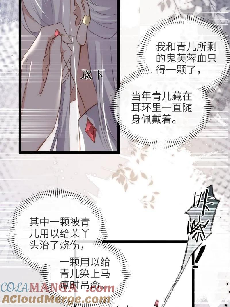 宦妃天下（太监王爷强娶我） 第428话 阿九回来了？！ 第31页