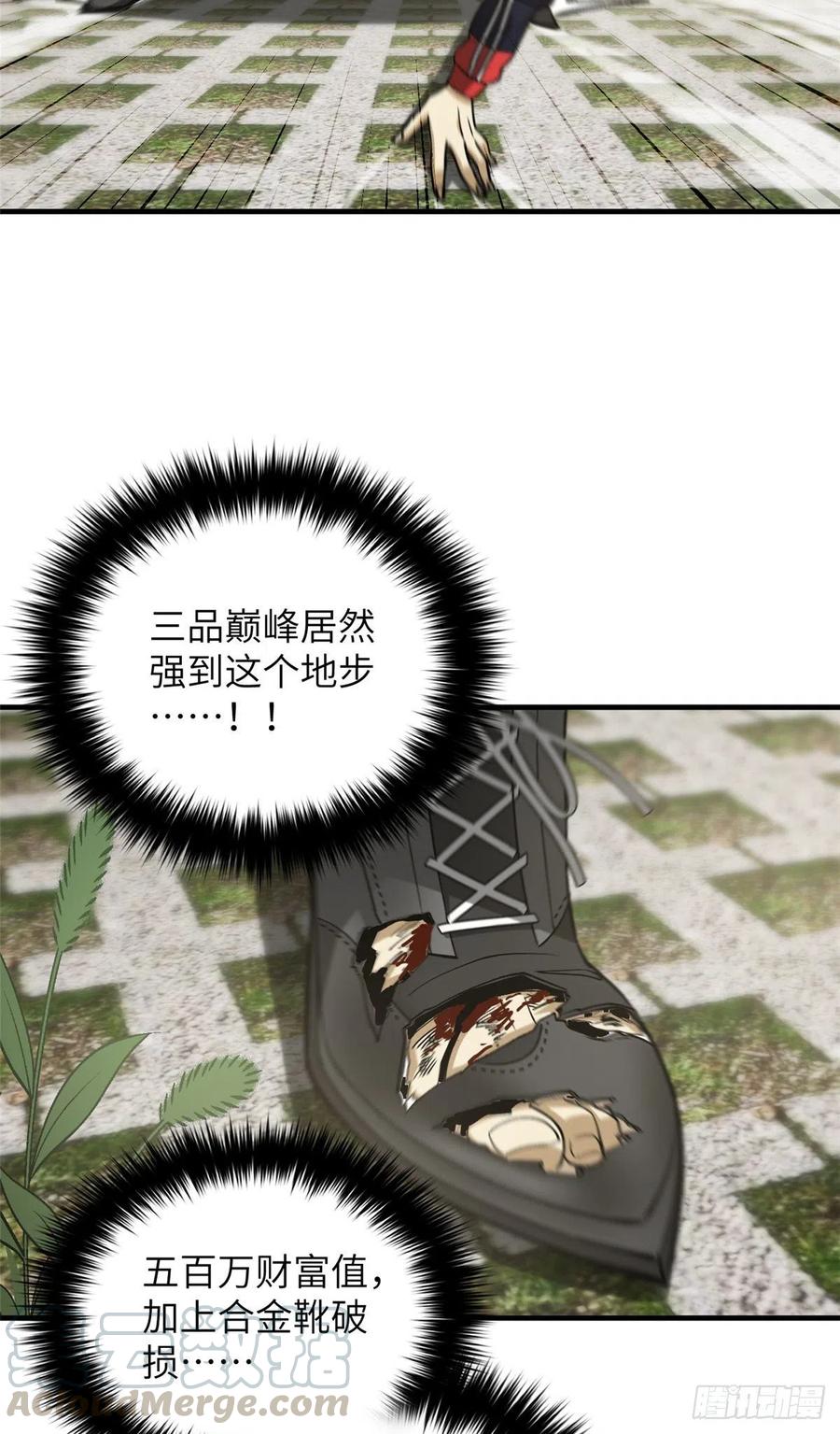 25.jpg