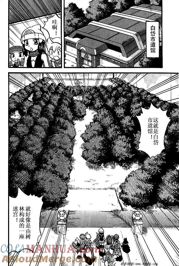 神奇宝贝特別篇 - 第31卷 - 第13张图