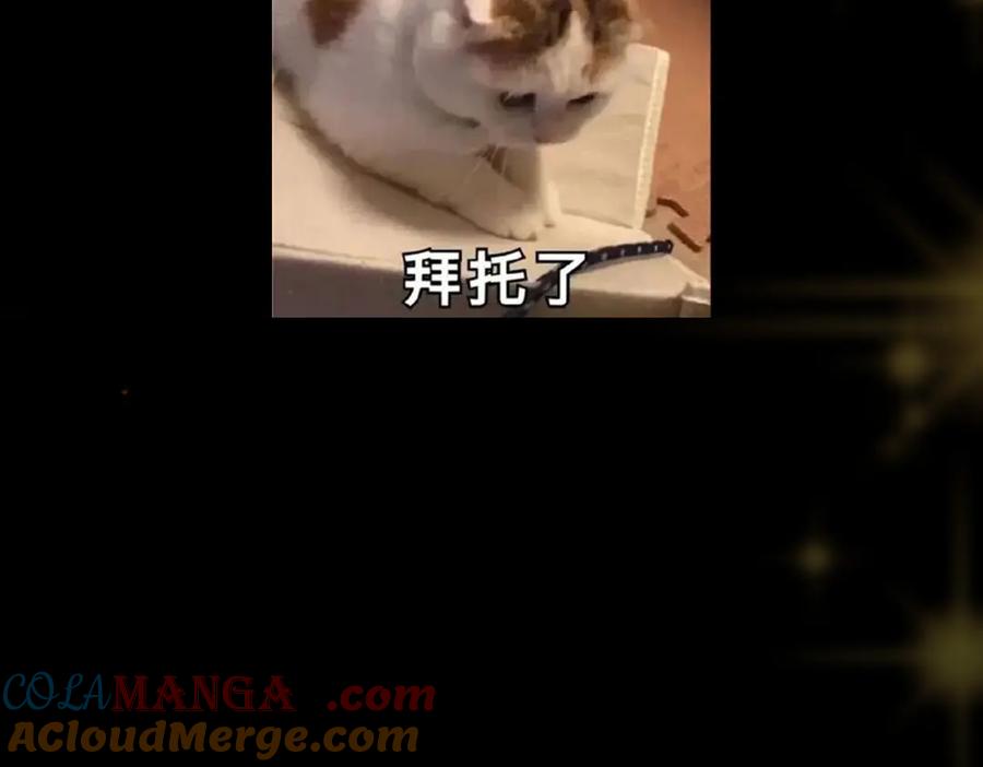 掌门低调点 453 平和又美好的一切 第217页