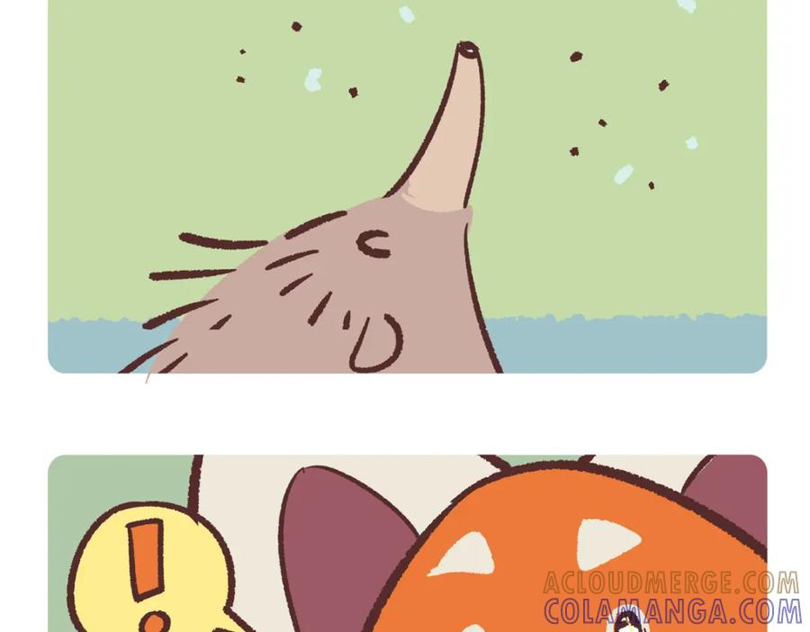 《胖达x胖达》第259话 第13页