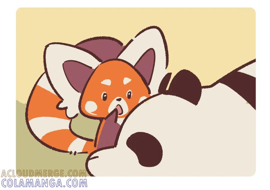 《胖达x胖达》第259话 第17页