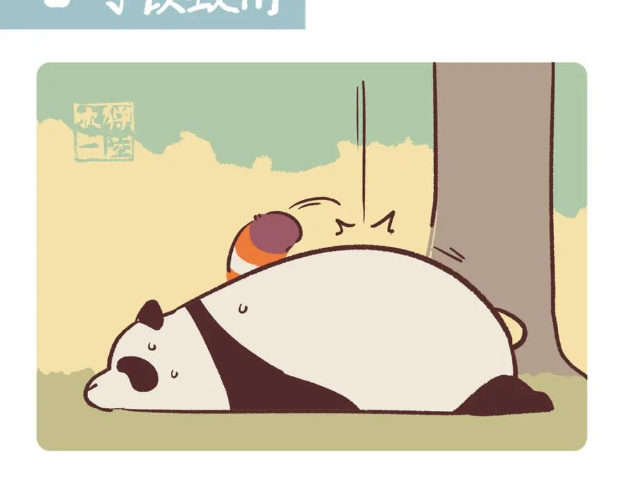 《胖达x胖达》第259话 第16页