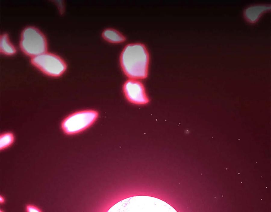 死灵法师：重生的我全技能精通 - 第二季完结篇 清算一切 - 第19张图