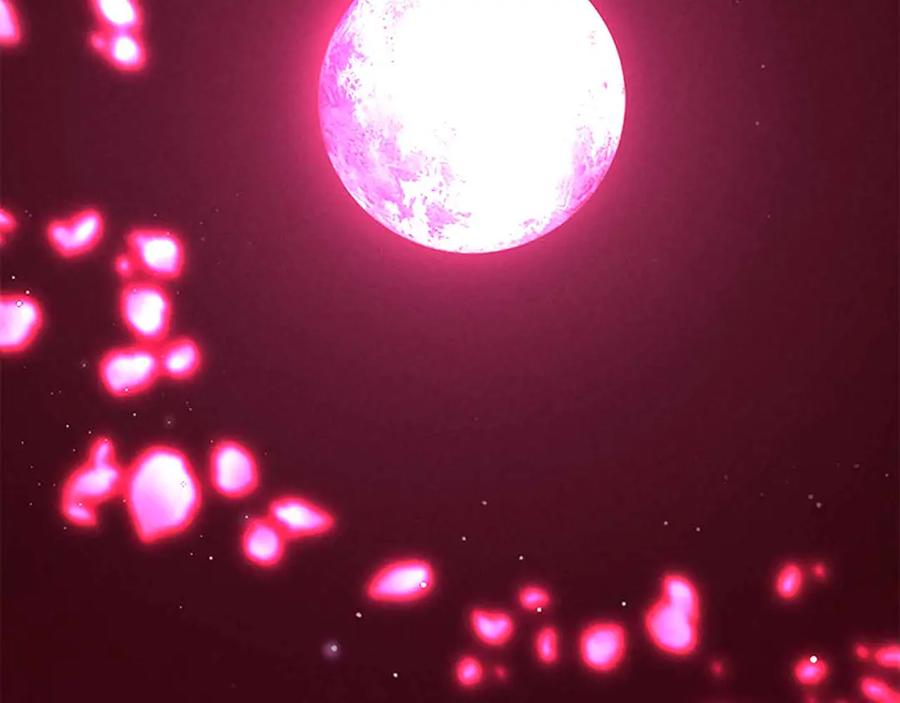 死灵法师：重生的我全技能精通 - 第二季完结篇 清算一切 - 第20张图