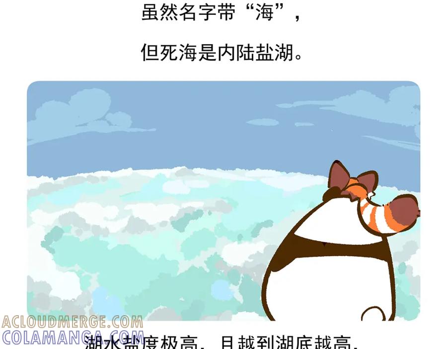 《胖达x胖达》第73话 第21页