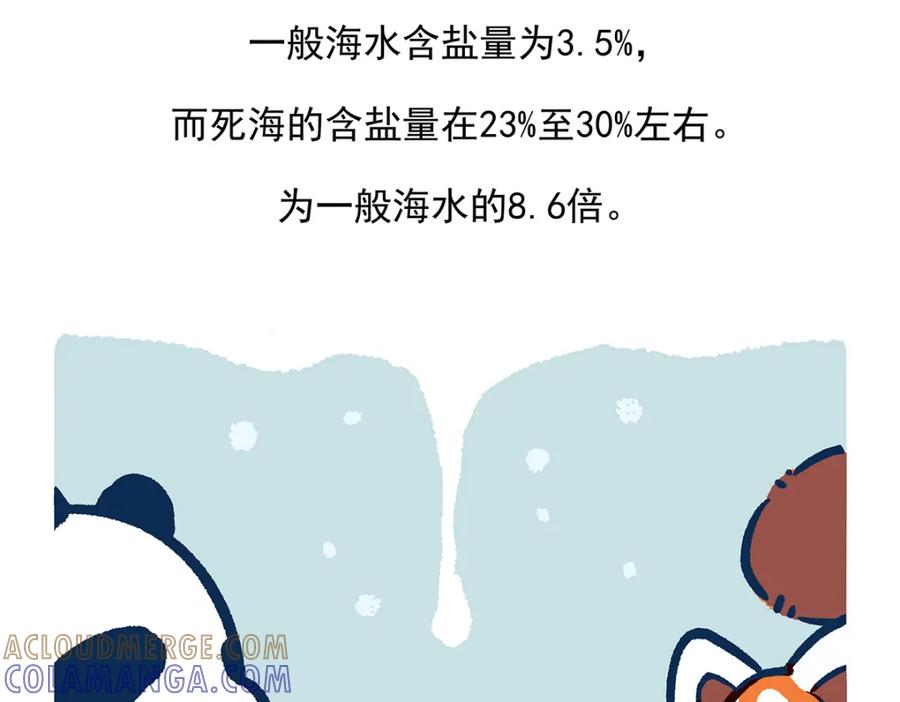 《胖达x胖达》第73话 第23页