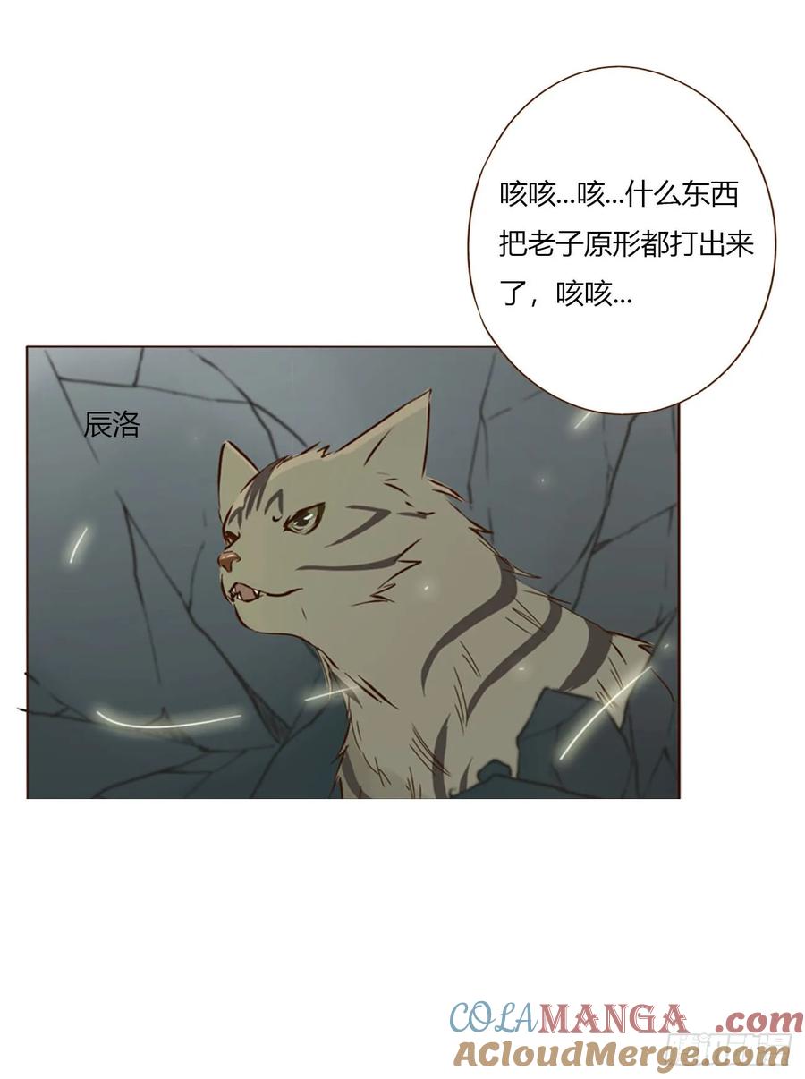拥然入怀 一五六章 神明 第31页
