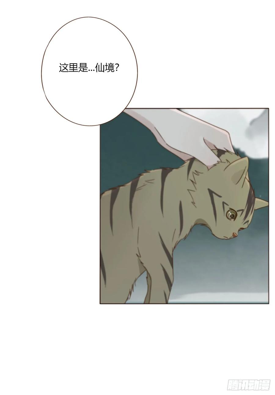 拥然入怀 一五六章 神明 第38页