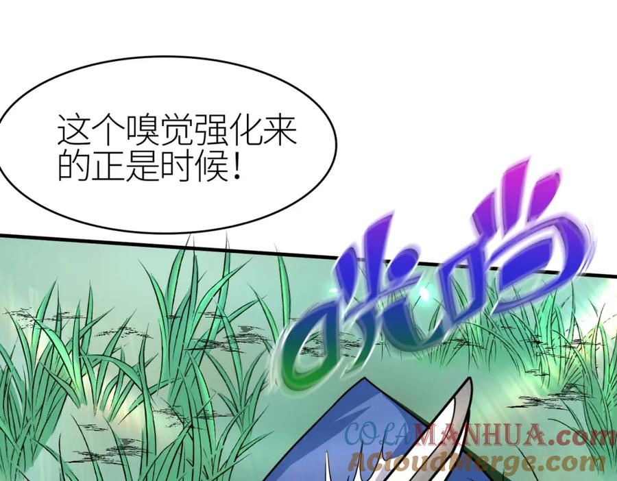 《全球杀戮：开局觉醒SSS级天赋！》第4话 击杀1级啮齿巨鼠！ 第113页