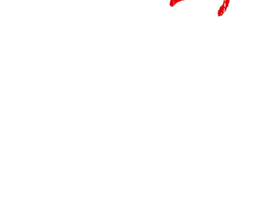 110.jpg