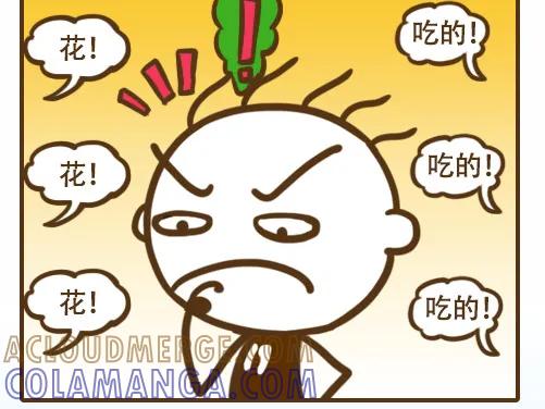 《史小坑漫画》史小坑才知道女神喜欢什么礼物！ 第5页