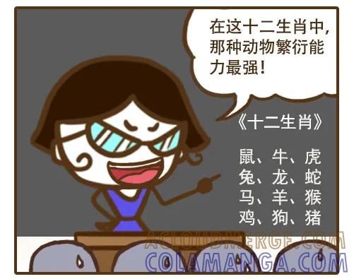 《史小坑漫画》这些你都不知道还好意思当龙的传人 第3页